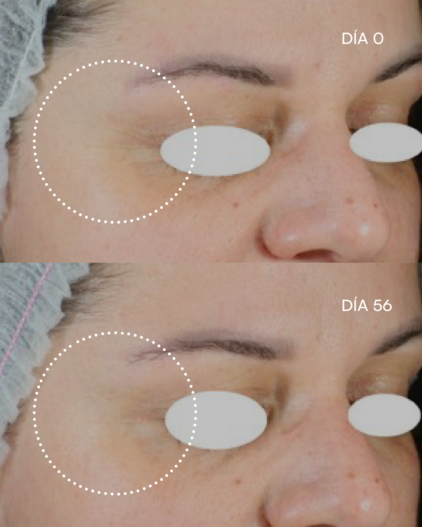 FUNCIÓN BARRERA Fórmula Plus antiedad intensiva - imagen 6