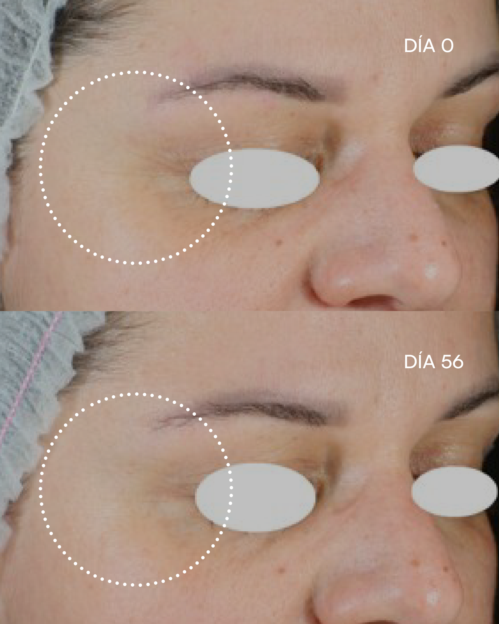 FUNCIÓN BARRERA Fórmula Plus antiedad intensiva - imagen 6